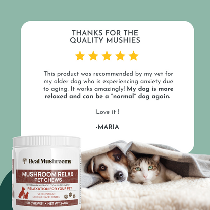 Mushroom Relax Pet Chews - Calming Treats for Dogs and Cats