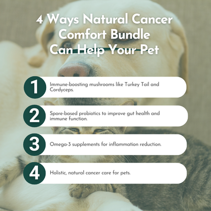 Natural Cancer Comfort Bundle for Dogs and Cats