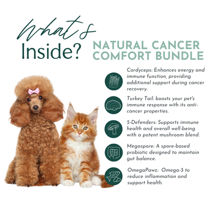 Natural Cancer Comfort Bundle for Dogs and Cats