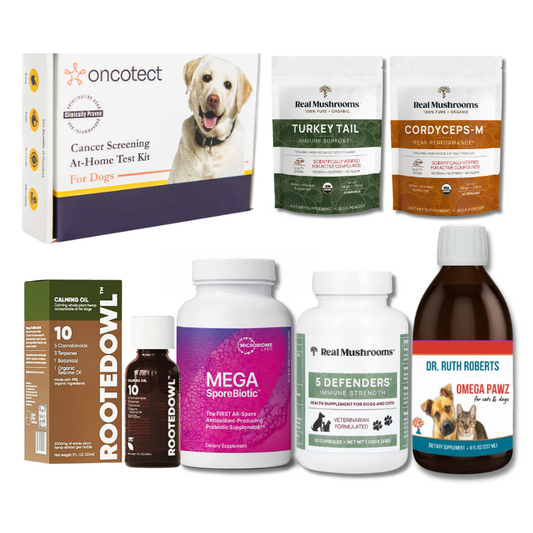 Cancer Comfort & Care for Dogs and Cats