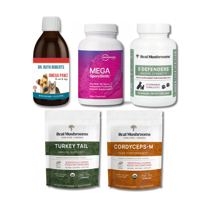 Natural Cancer Comfort Bundle for Dogs and Cats