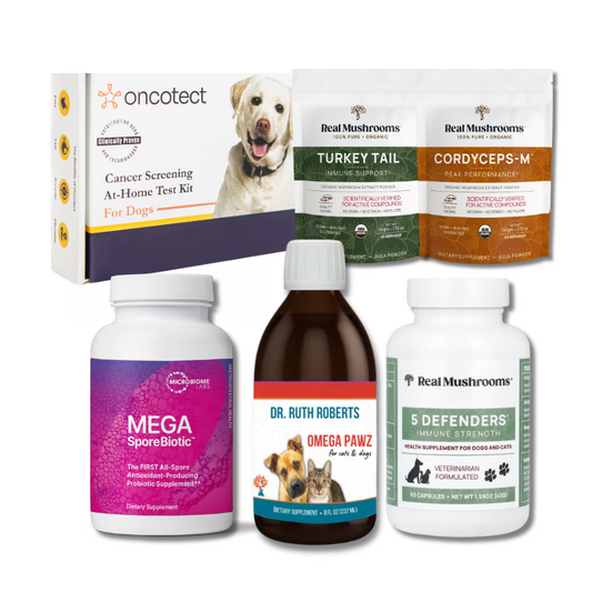 Cancer Comfort & Care for Dogs and Cats