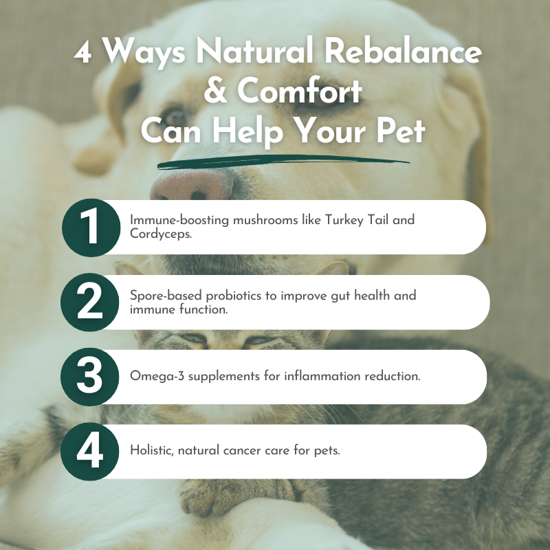 Natural Rebalance & Comfort for Dogs and Cats