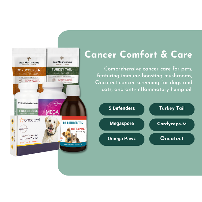Cancer Comfort & Care for Dogs and Cats