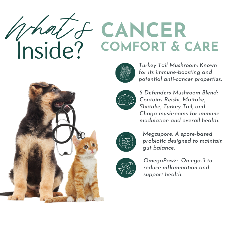 Cancer Comfort & Care for Dogs and Cats