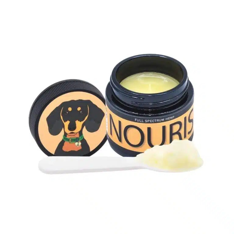 A jar of Full Spectrum Hemp NOURISH for dogs with the lid off, showing the yellow salve inside. The label on the jar reads 'FULL SPECTRUM HEMP' and 'NOURISH.' The lid, placed next to the jar, features an illustration of a black dog with a green collar. A small white spatula with a portion of the salve is placed in front of the jar.