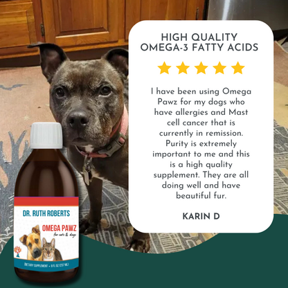 "Pet Allergy Relief Duo – Hista Paws + Omega Pawz | Natural Allergy Relief & Immune Support for Dogs & Cats | Quercetin & Fish Oil for Itchy Skin & Inflammation"
