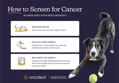ONCOTECT | Cancer Screening