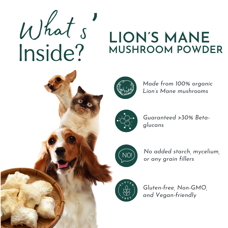 Lion's Mane Mushroom Powder for Pets (60 g)  – Brain Health & Cognitive Support