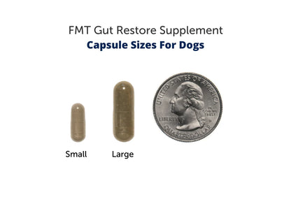 FMT Gut Restore: Ultimate Gut Restoration Supplement for Dogs (RAW-FED)