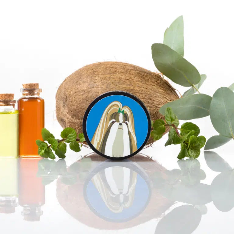 The lid of a jar of Full Spectrum Hemp REMEDY for dogs, placed in front of a coconut and surrounded by green leaves and small bottles of oils. The lid features an illustration of two running greyhounds. The background includes a yellow oil, a reddish oil, and green plant leaves.