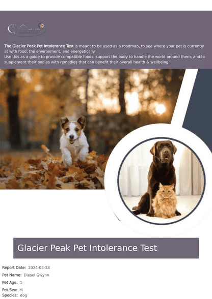 Glacier Peak Pet Intolerance Test (Pet Wellness Life Stress Scan Kit)