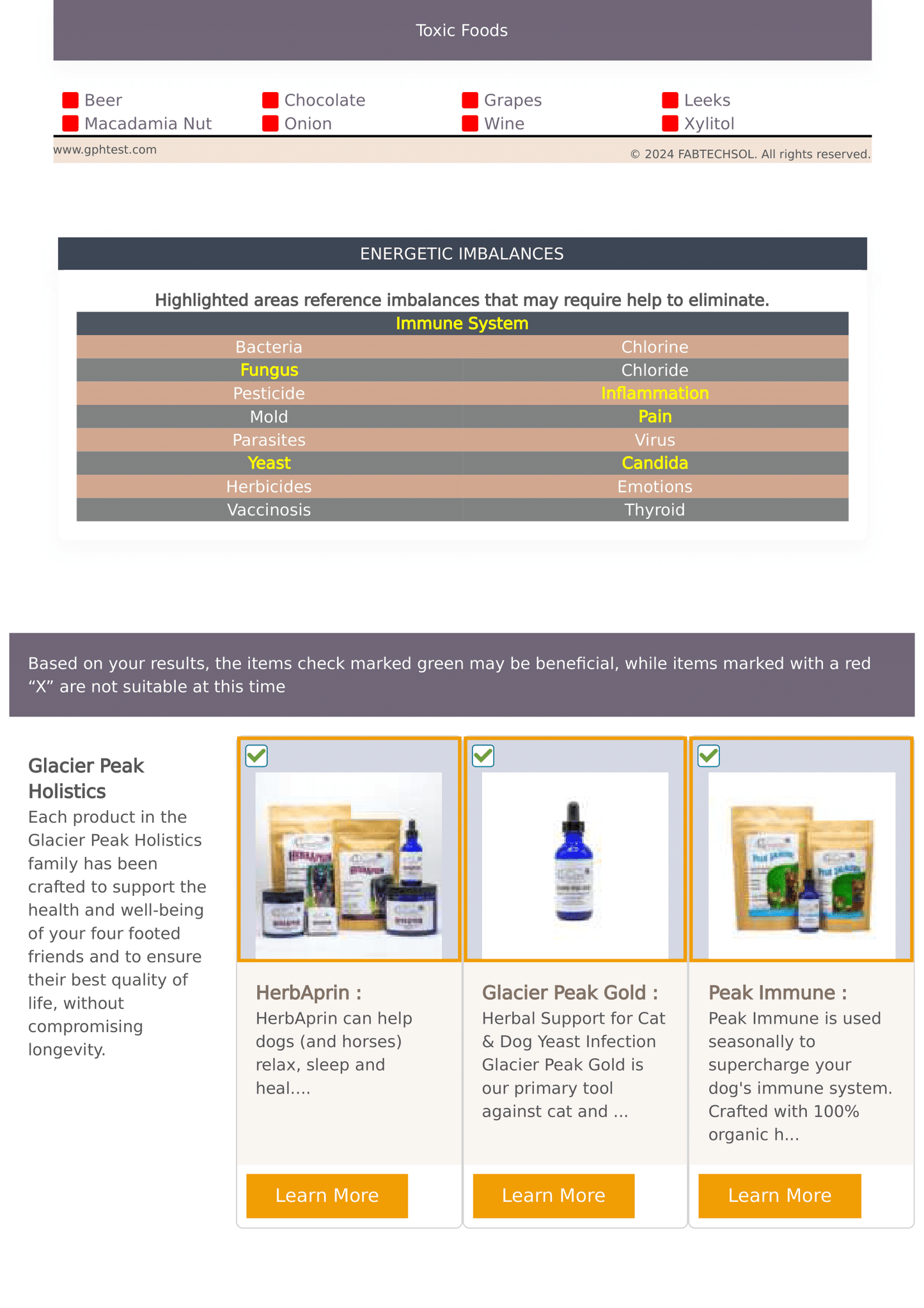 A page from Diesel Gwynn’s pet intolerance report featuring sections on Toxic Foods (e.g., Beer, Chocolate), Energetic Imbalances (e.g., Immune System, Yeast), and Glacier Peak Holistics product recommendations (e.g., HerbAprin, Glacier Peak Gold). The page highlights harmful foods, potential imbalances, and recommended products with check marks, along with an introduction to Glacier Peak Holistics.