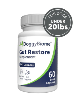 DoggyBiome™ Gut Restore Supplement | 60 Capsules