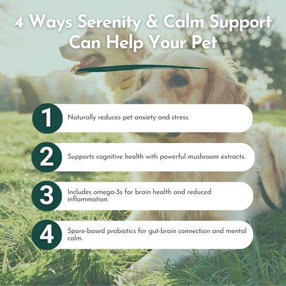 Serenity & Calm Support – Cognitive and Anxiety Support