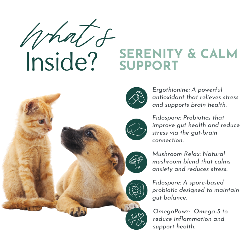 Serenity & Calm Support – Cognitive and Anxiety Support