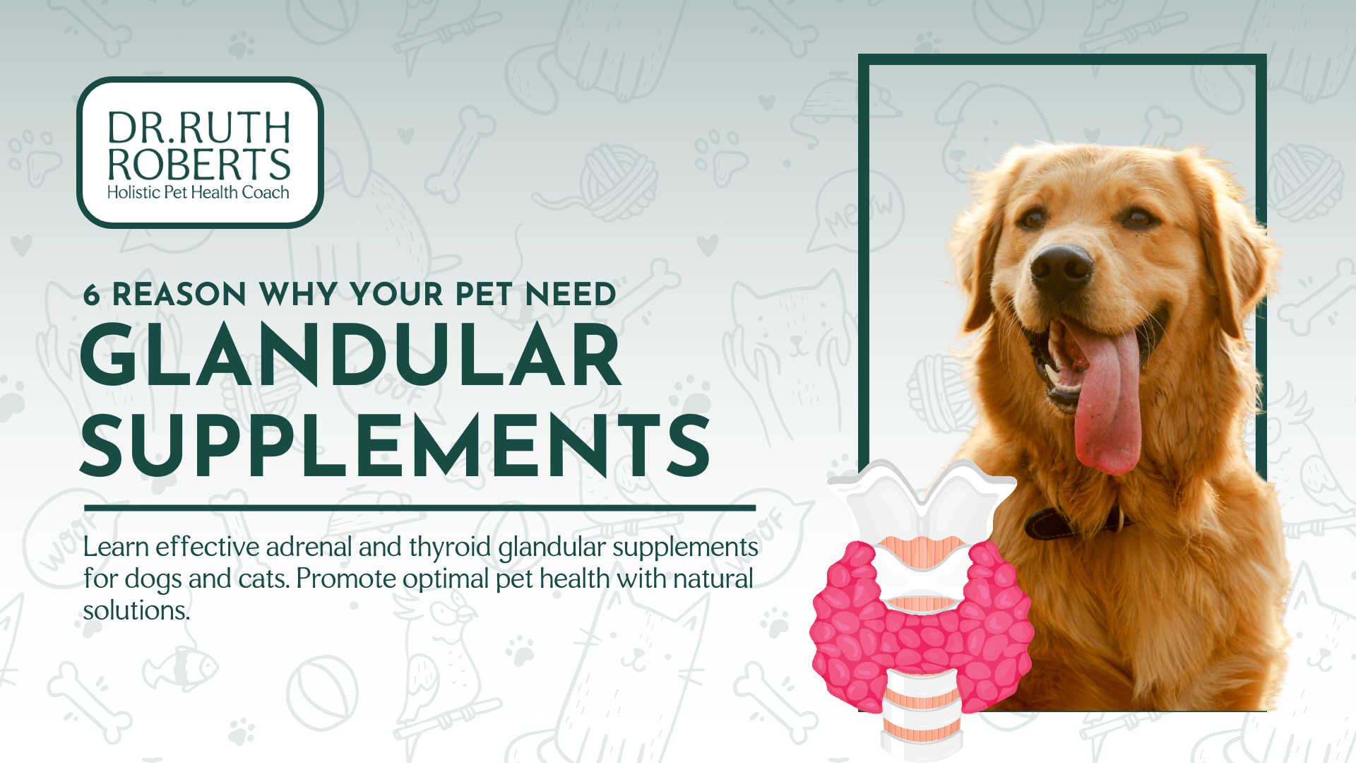 Natural supplements for dogs and cats & Holistic veterinary care | Dr ...