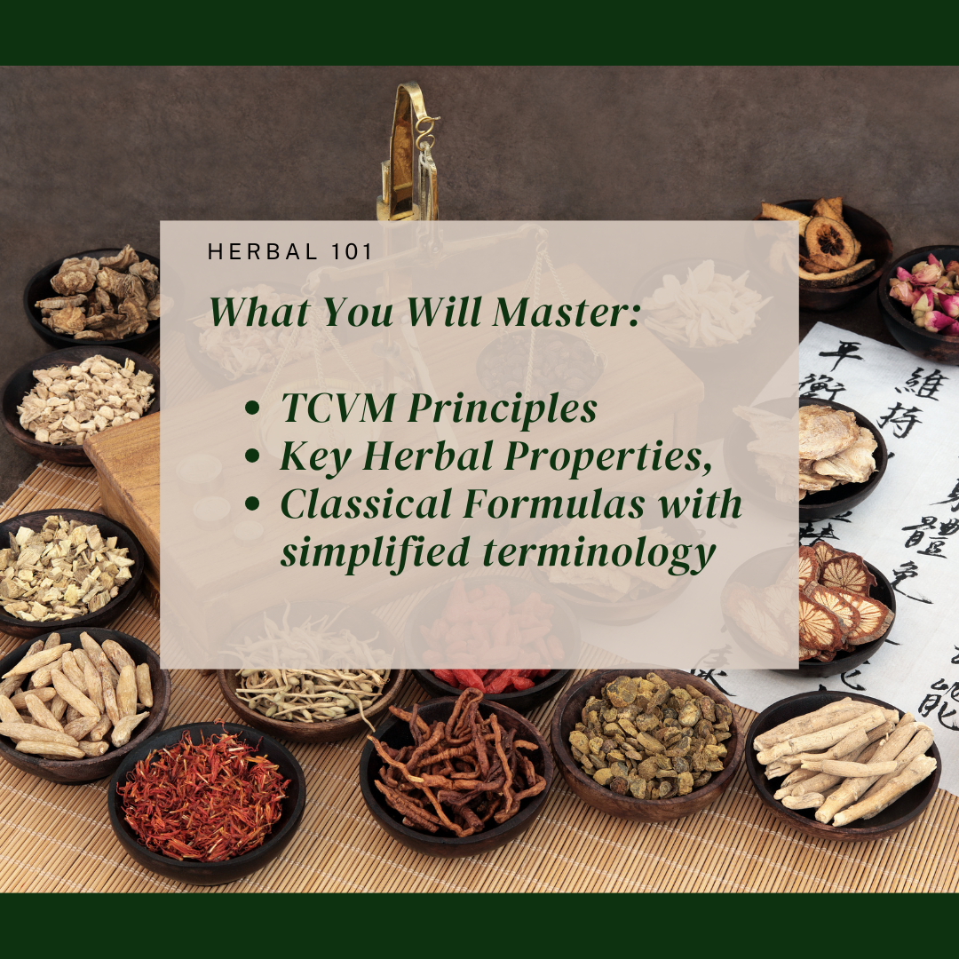 TCVM Herbal Masterclass with Dr. Bessent