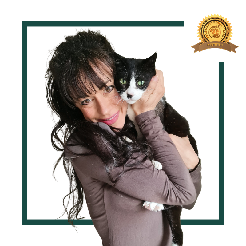 Dr. Paola Zanibelli Davies