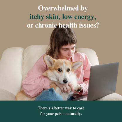 The Pet Parent’s Holistic Health Toolkit: Mastering Pet Parenthood Naturally Dr. Ruth Roberts 