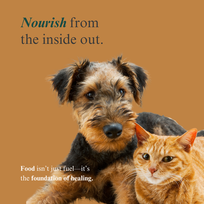 The Pet Parent’s Holistic Health Toolkit: Mastering Pet Parenthood Naturally Dr. Ruth Roberts 
