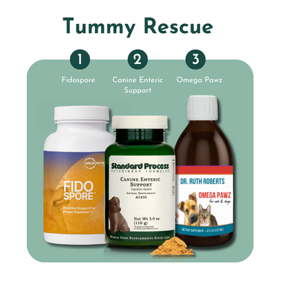 Tummy Rescue – Digestive Relief Bundle for Pets