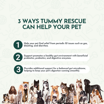 Tummy Rescue – Digestive Relief Bundle for Pets