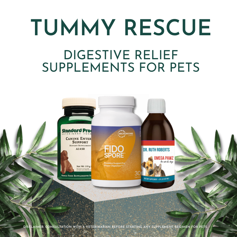 Tummy Rescue – Digestive Relief Bundle for Pets