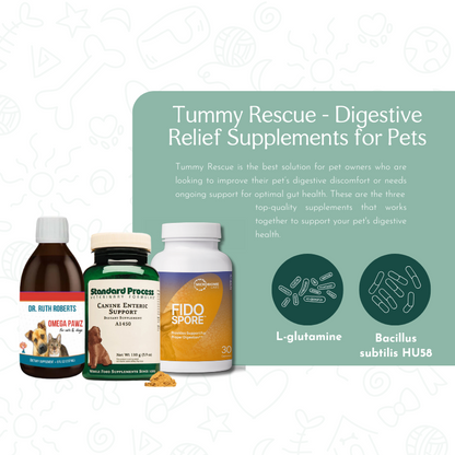 Tummy Rescue – Digestive Relief Bundle for Pets