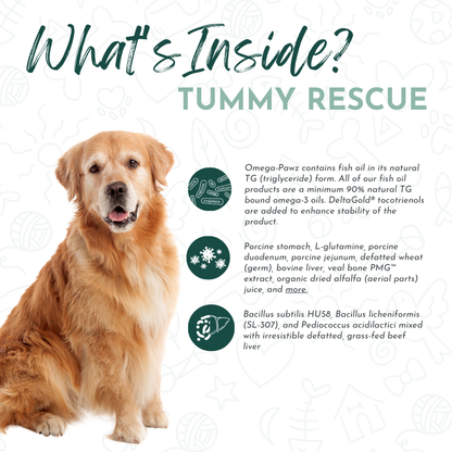 Tummy Rescue – Digestive Relief Bundle for Pets