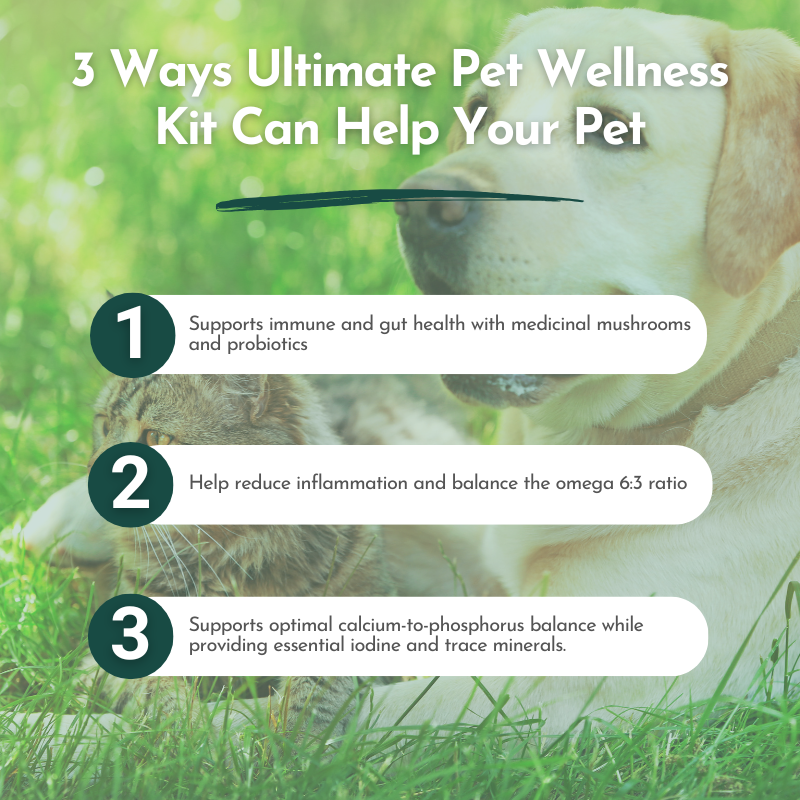 Ultimate Pet Wellness Kit – Holistic Support for Dogs