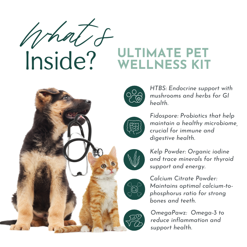 Ultimate Pet Wellness Kit – Holistic Support for Dogs