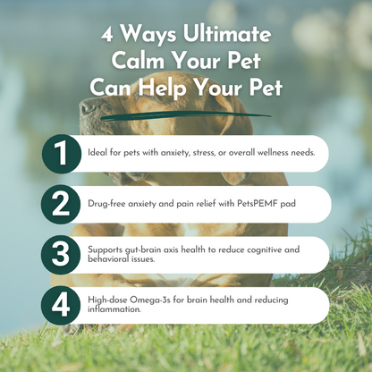 Ultimate Calm Your Pet- Anxiety and Stress Relief for Cats and Dogs