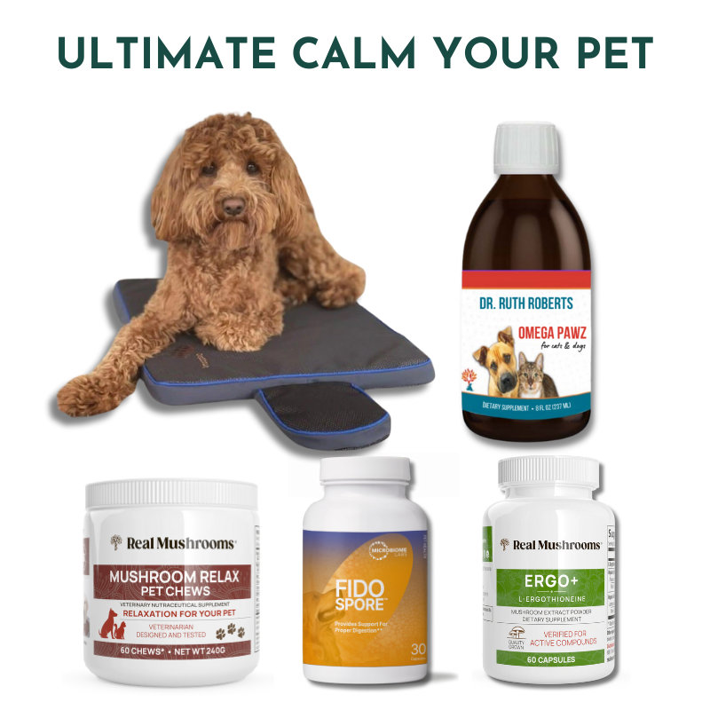 Stress-Free Travel Pet Bundles