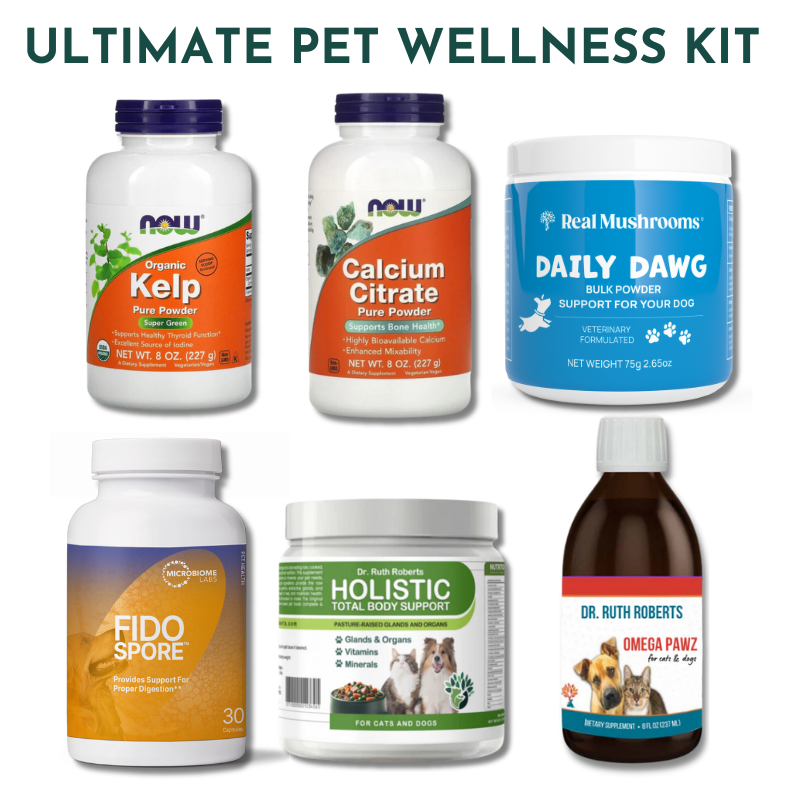 Holistic dog supplements best sale