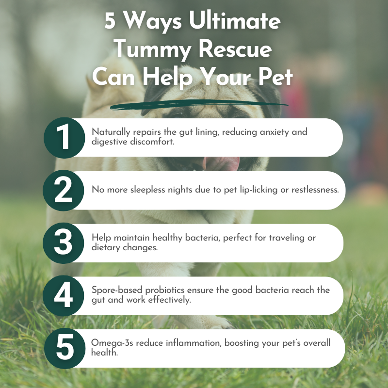 Ultimate Tummy Rescue - Digestive Relief Supplements for Pets