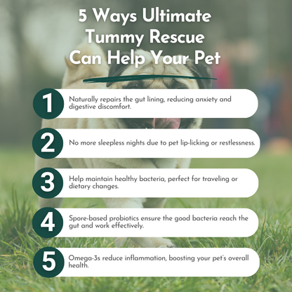 Ultimate Tummy Rescue - Digestive Relief Supplements for Pets