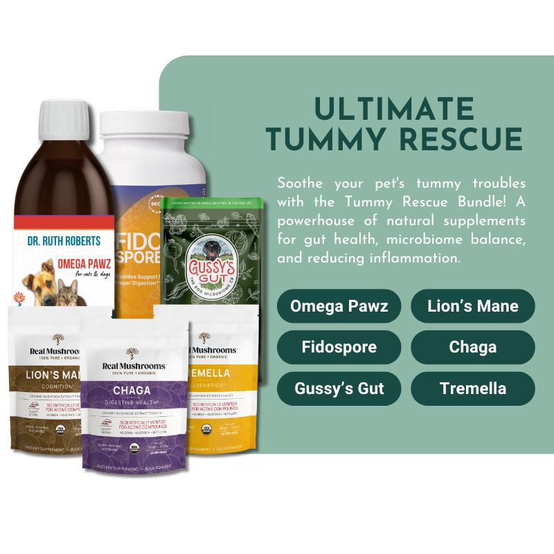 Ultimate Tummy Rescue - Digestive Relief Supplements for Pets