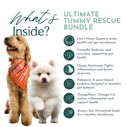 Ultimate Tummy Rescue - Digestive Relief Supplements for Pets