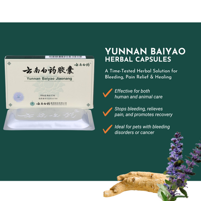 Yunnan Baiyao herbal capsules in a protective blister pack, suitable for humans and pets
