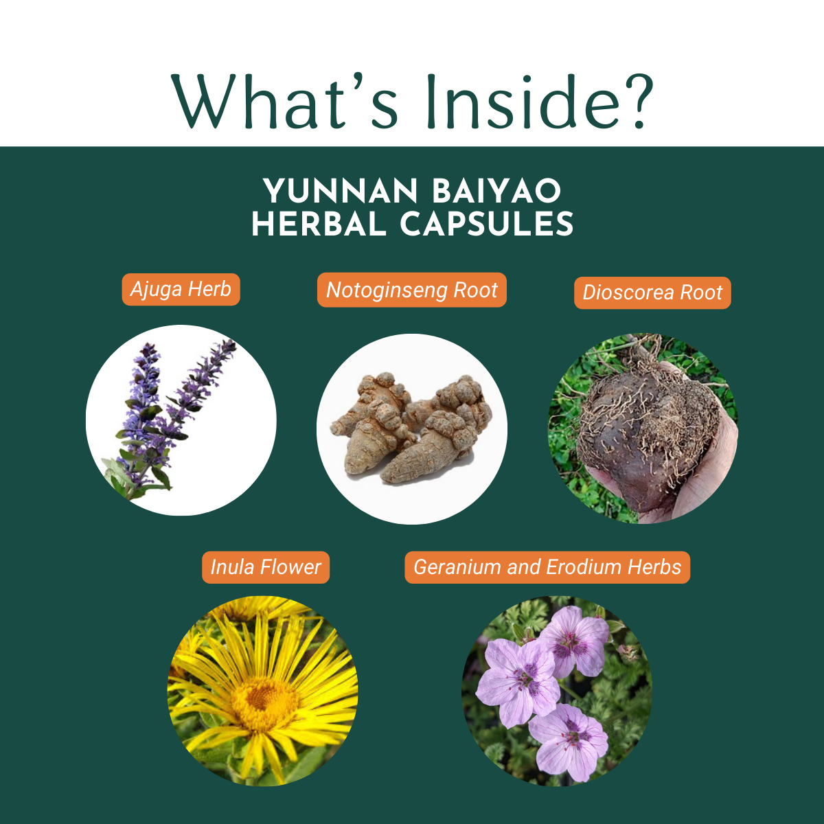 Yunnan Baiyao herbal capsules in a protective blister pack, suitable for humans and pets
