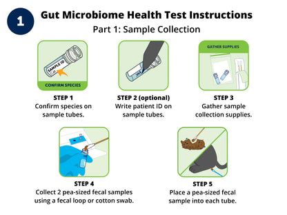 KittyBiome™ Gut Health Test