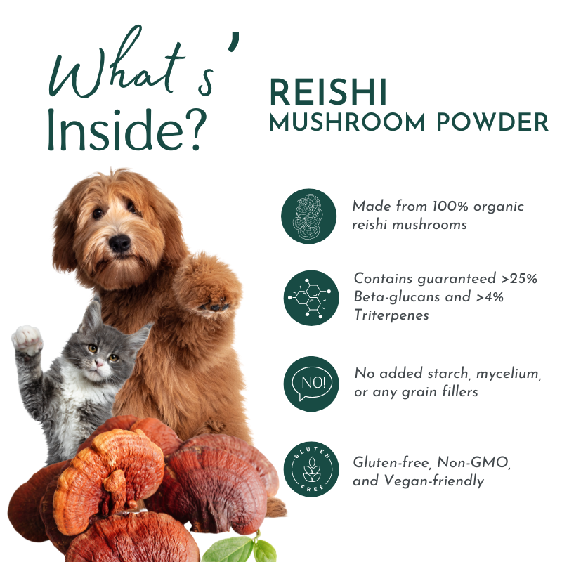 Reishi Mushroom Powder for Dogs & Cats (45 g) – Immune, Sleep, and Anxiety Support