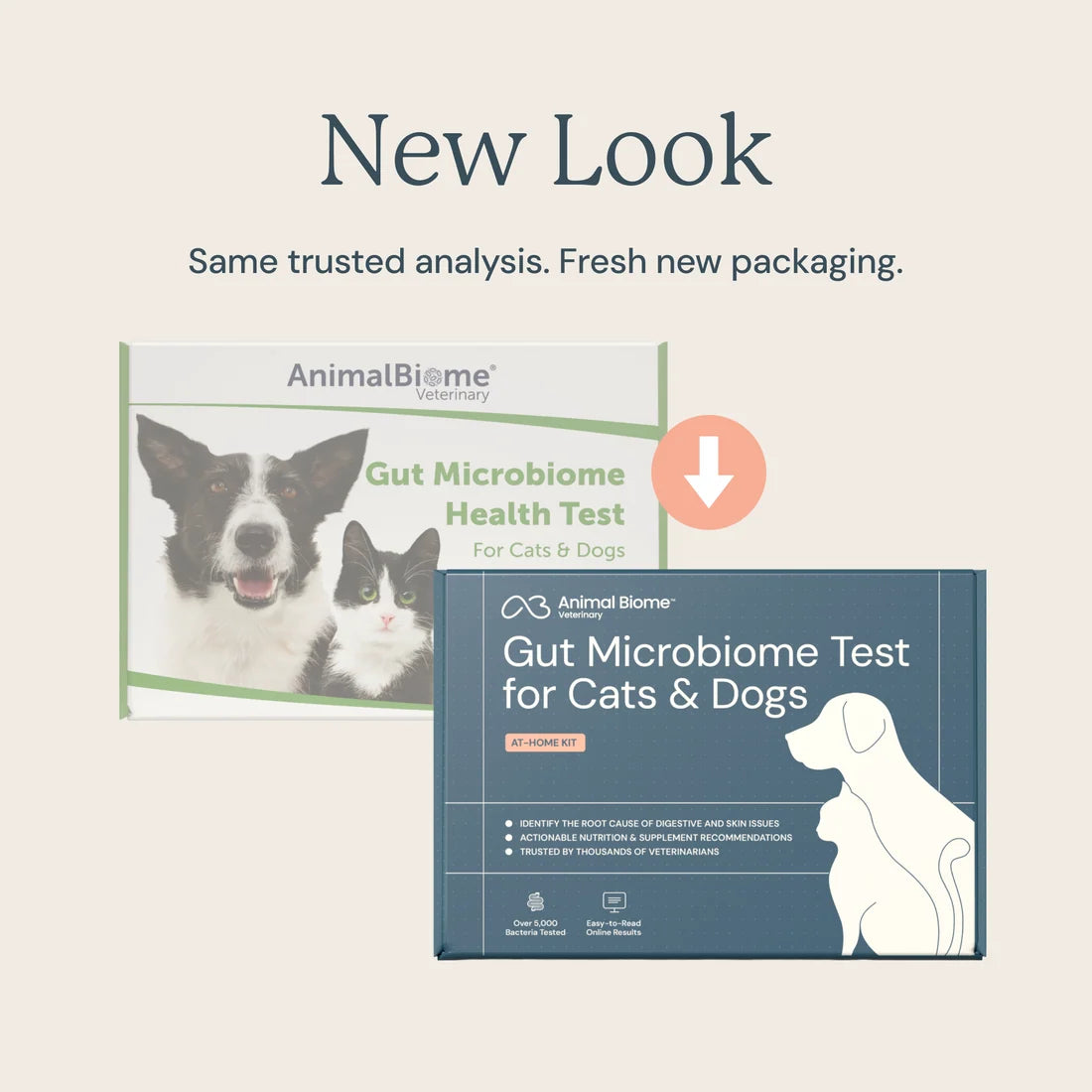 KittyBiome™ Gut Health Test
