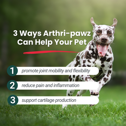 Arthri-Pawz – with Glucosamine for Cats and Dogs
