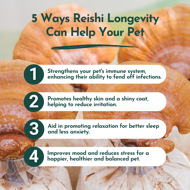 Reishi Mushroom Powder for Dogs & Cats (45 g) - Longevity