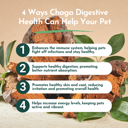 Organic Chaga Mushroom Powder for Pets (60 g) - Digestive Support