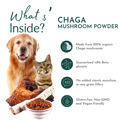 Organic Chaga Mushroom Powder for Pets (60 g) - Digestive Support