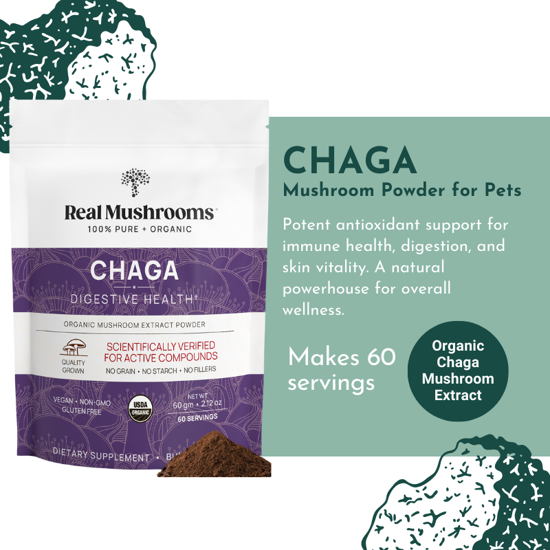 Organic Chaga Mushroom Powder for Pets (60 g) - Digestive Support