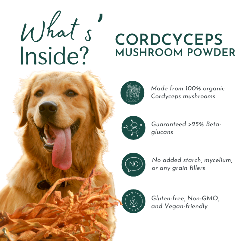 Organic Cordyceps Mushroom Powder for Pets (60 g) – Energy & Respiratory Support